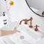2-handle Bathroom Faucet with Drain Assembly-80451367