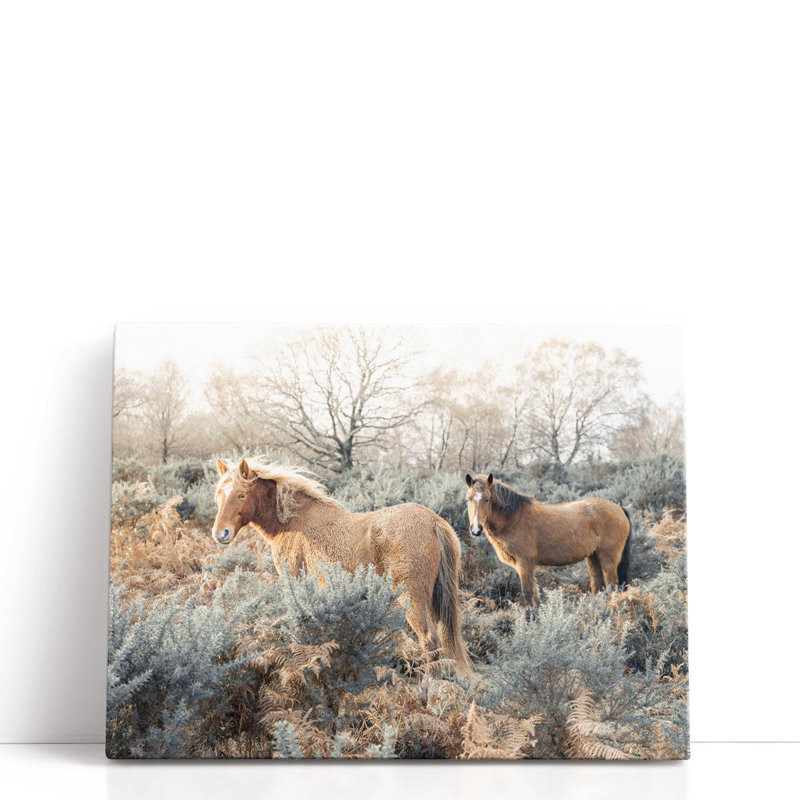 Chevaux dans la nature - reproduction d'art sur toile, H 12 po x l 16 po