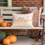 Housses de coussins d'automne, coussins décoratifs de citrouilles décoratives d'automne, housse de coussin lombaire d'extérieur de l'Action de grâce Farmhosue, décor d'automne pour canapé-lit blanc