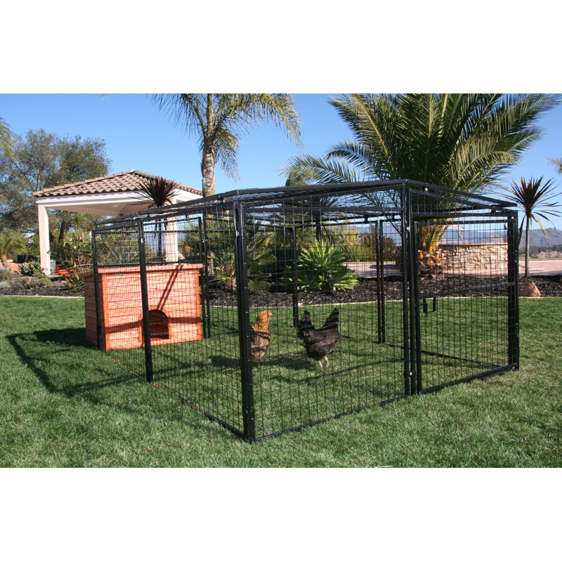 Enclos pour chien/poules en fils soudés Francesca