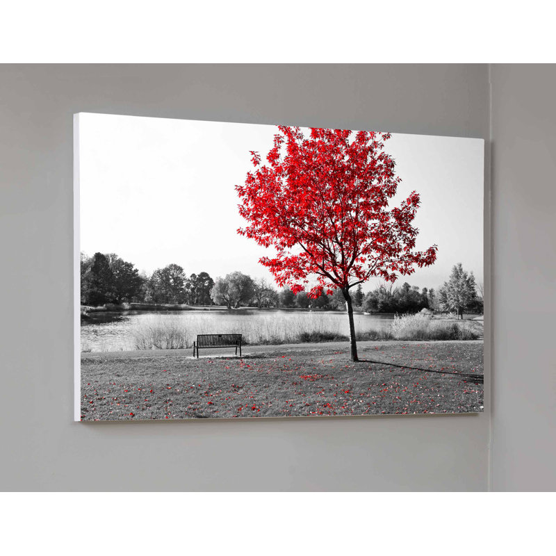 No Frame Print on Metal, 41cm H x 61cm W, Canvas