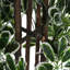 160 cm H Faux Plant in Plastic