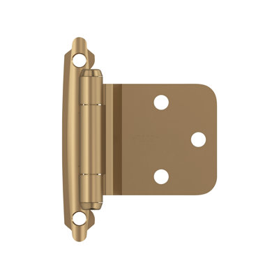 30° Reverse Bevel Overlay Hinge