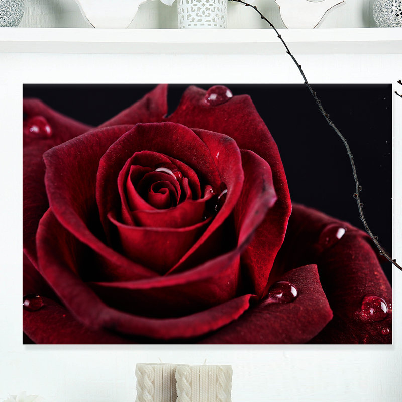 Rose rouge avec gouttes de pluie sur fond noir - impression d'art graphique, H 20 po x l 20 po x P 1 po, Toile tendue