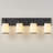 Dimmable Transitional Vanity Light-548199730-548211051