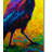 Kucera 'Crow 3' Print on Wrapped Canvas-22074048