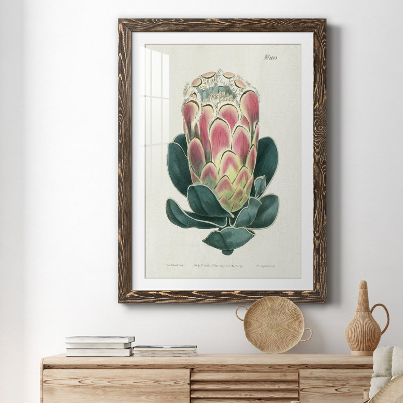 Protea N83 - Peinture encadrée, H 31,5 po x l 23,5 po x P 1,5 po, Encadré de bois de noyer