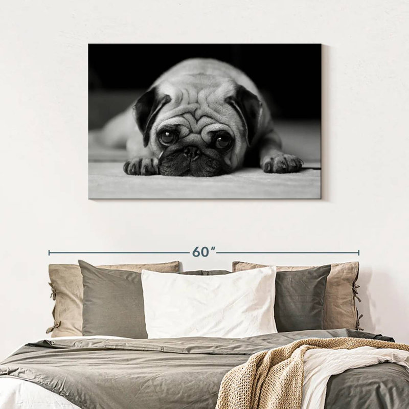 Brampt Sad Pug, 30" H x 45" W