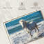 Brampt Camargue qui court sur la plage-107679769