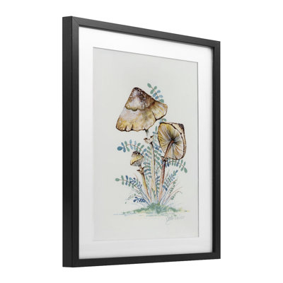 "Natural Forest Mushroom Trio", reproduction encadrée sous verre, conception de Cady