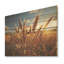 Golden Harvest Meadow Horizon III - prairie sur bois-1675672698