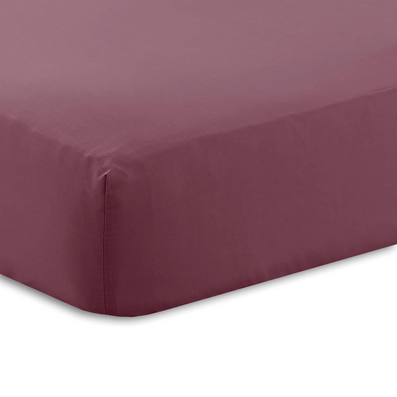 Adalira Cotton Blend/Polyester Fitted Sheet, Aubergine, Single, Fitted sheet