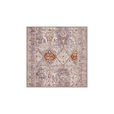 Machine Washable Beige Area Rug