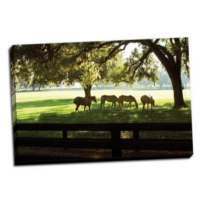 " Horses In The Sunrise 1 " by Alan Hausenflock