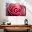 Rose brumeux Harnek-111960689