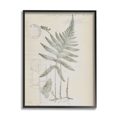 Reproduction de dessin de feuille de fougère rétro encadrée sur bois par Tina Higgins Designs, Inc.