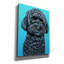 «Cute Schnoodle On Teal» par Rebecca Wang, art sur toile-481183743
