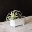 Mini pot à fleurs en métal