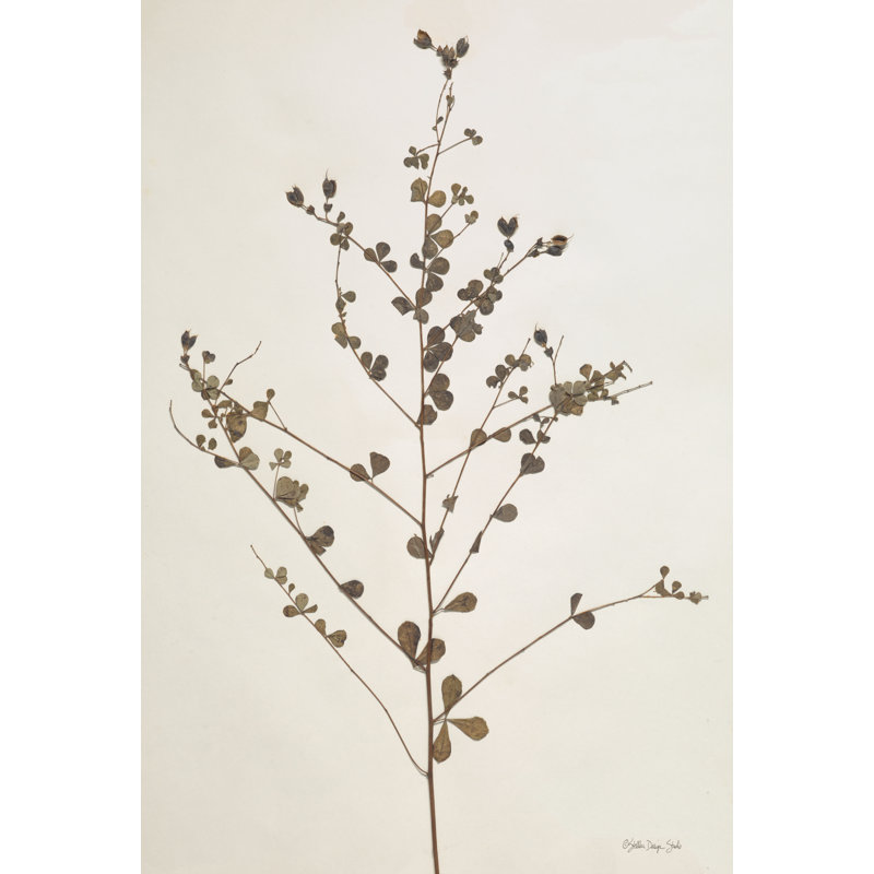 Collection Herbier 2, H 12 po x l 8 po, Non, Toile tendue