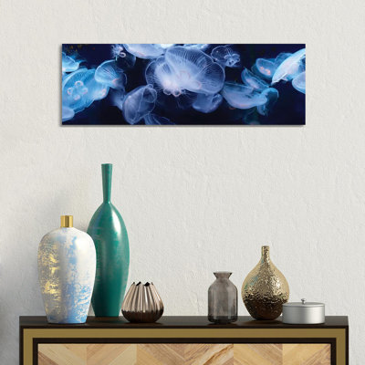 Jellyfish Swimming Underwater - Wrapped Canvas Panoramic Print