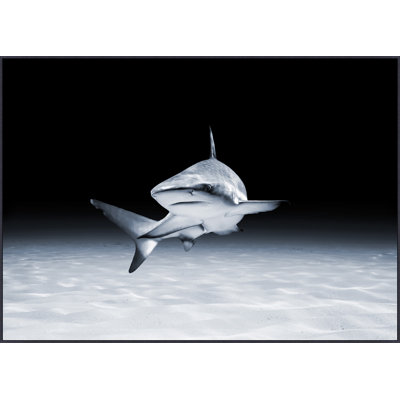 Swimming 2 Print by Mat Sanders