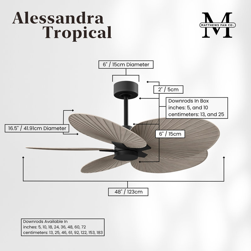 Alessandra Tropical - Five Blade Ceiling Fan - Matte White Finish - Matte White Blades, Gray Ash Tone, Matte Black