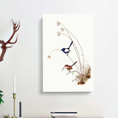 White Winged Wren by Elizabeth Gould - Wrapped Canvas