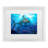 " Stalking Shark " by Howard Robinson-1342848657-1342848685