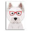 Art mural en verre Epic Art «West Highland Terrier portant des lunettes de hipster»-1055803159