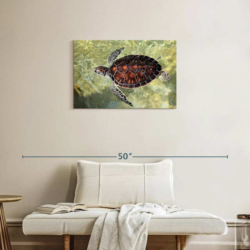 Brampt Cayman Turtle, 20" H x 30" W