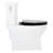Carraway 1.28 GPF Two Piece Elongated Toilet-92931186