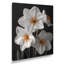 Monochromes blancs jaunes botaniques jonquilles I - jonquilles murales-1638424055-1638424063