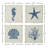 Chulmleigh Coastal Wall Decor-414641408