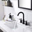 2-handle Bathroom Faucet with Drain Assembly-61752830