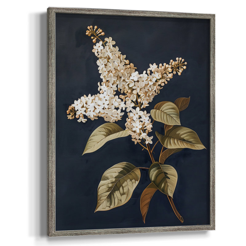 Reproduction encadrée FLORAL Series CLVII - bois massif, H 30 po x l 24 po