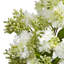 Arrangement floral dans un vase Navin Quincy