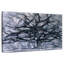 Arbre gris-944662228