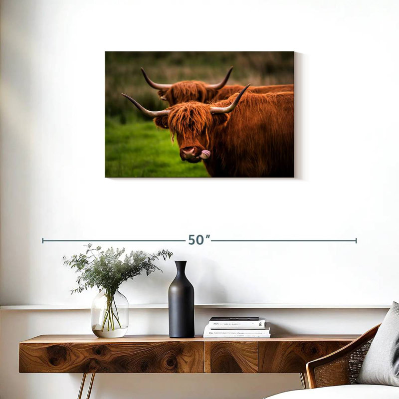 Fluffy Highland Cows, H 20 po x l 30 po