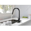 Kitchen Faucet With Pull Down Sprayer-117237913