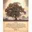« Living Life »-1554572344