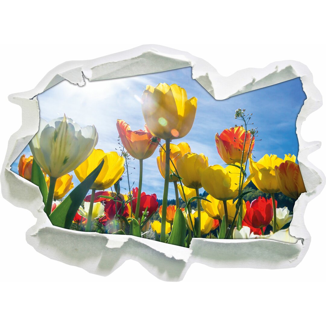 Wandtattoo Blumenwiese Froschperspektive