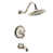 Polished Nickel