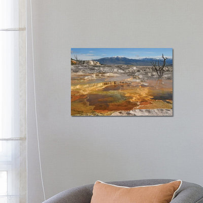 Canary Springs by Brian Wolf - Wrapped Canvas Gallery-Wrapped Canvas Giclée