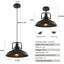- Light Black Pendant