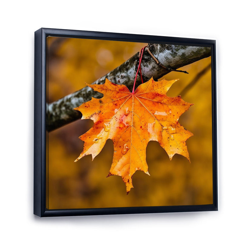 «Canadian Mapple Tree Leaves II», reproduction sur toile, H 30 po x l 30 po x P 1 po, Cadre flottant noir