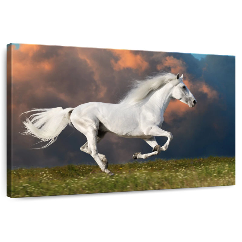 Crowle Young Horse, 34" H x 51" W