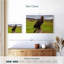Ronce sur pierre-108868348