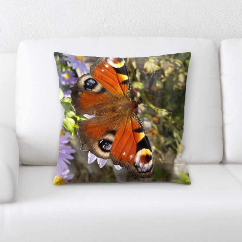 Coussin de papillon peacock