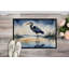 Paillasson Blue Heron-112753593
