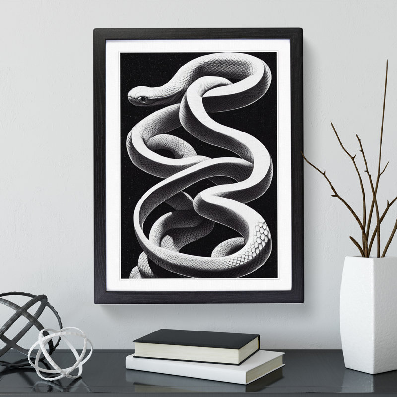 Coiled Snake - Single Picture Frame Print, Black, 34cm H x 25cm W x 2cm D